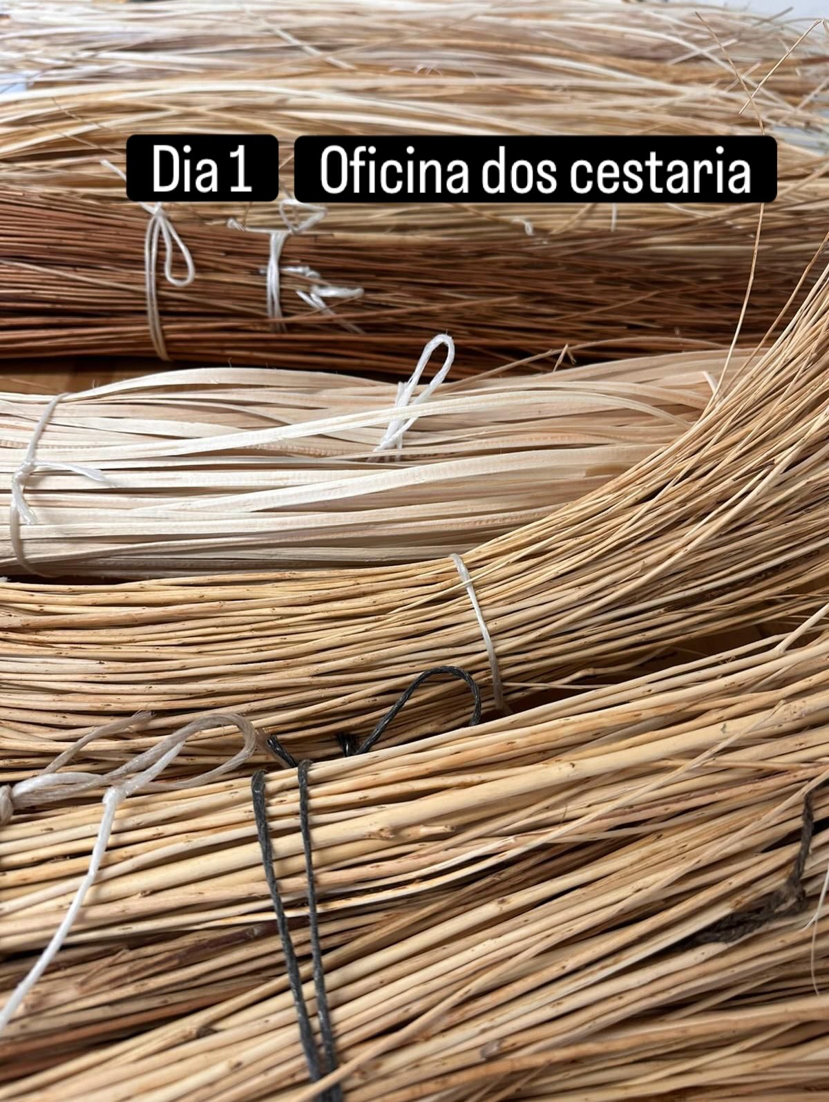 Oficina de Cestaria · Dia 1