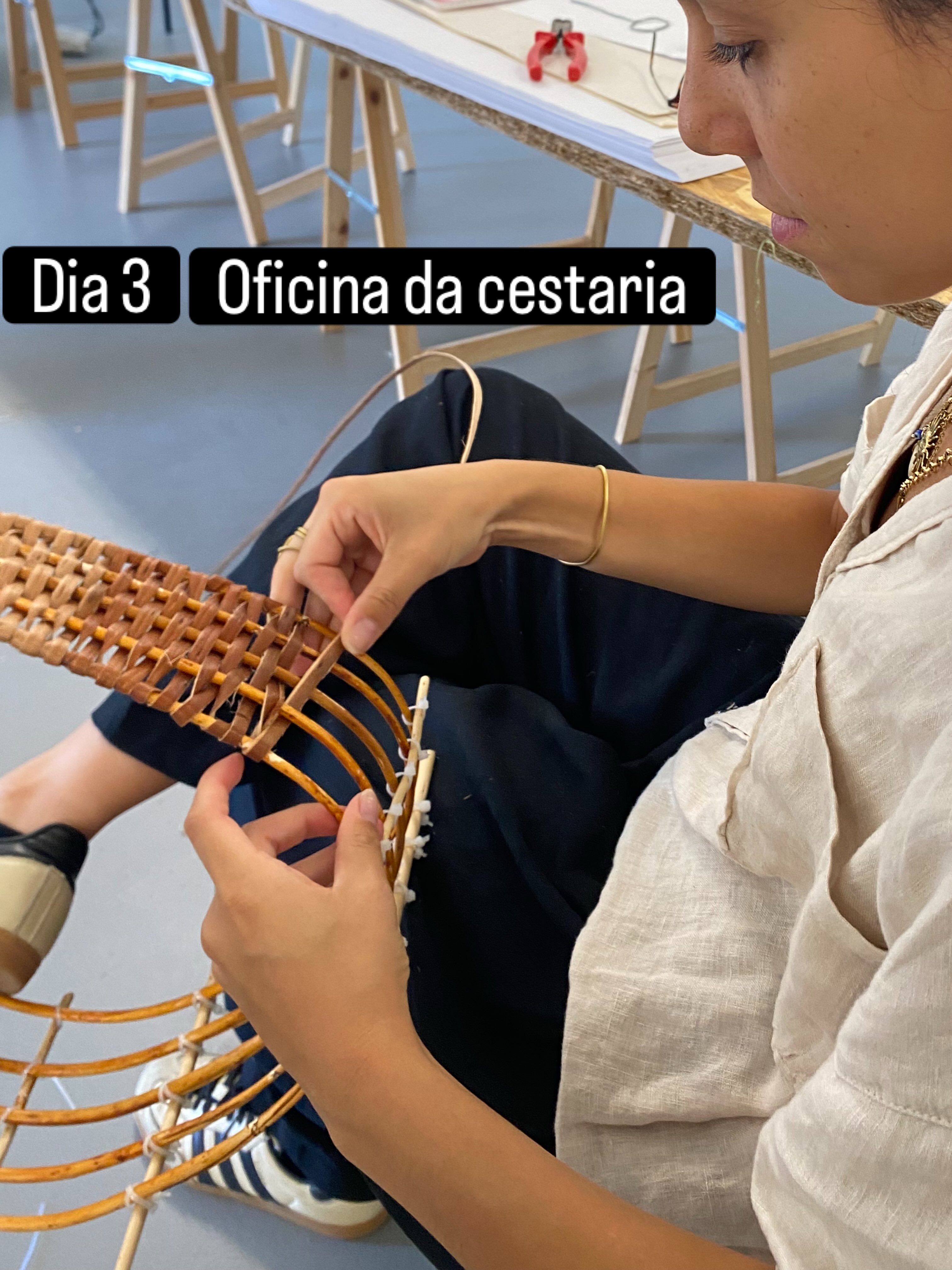 Oficina de Cestaria · Dia 3